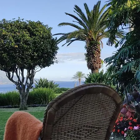 בית הארחה Odette הורטה