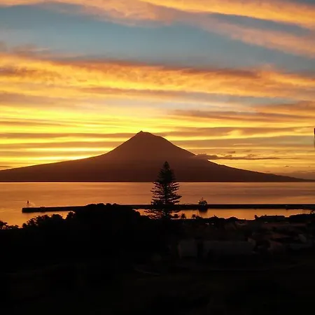 בית הארחה Odette