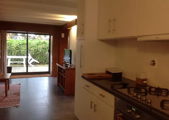 Odette Horta (Azores)